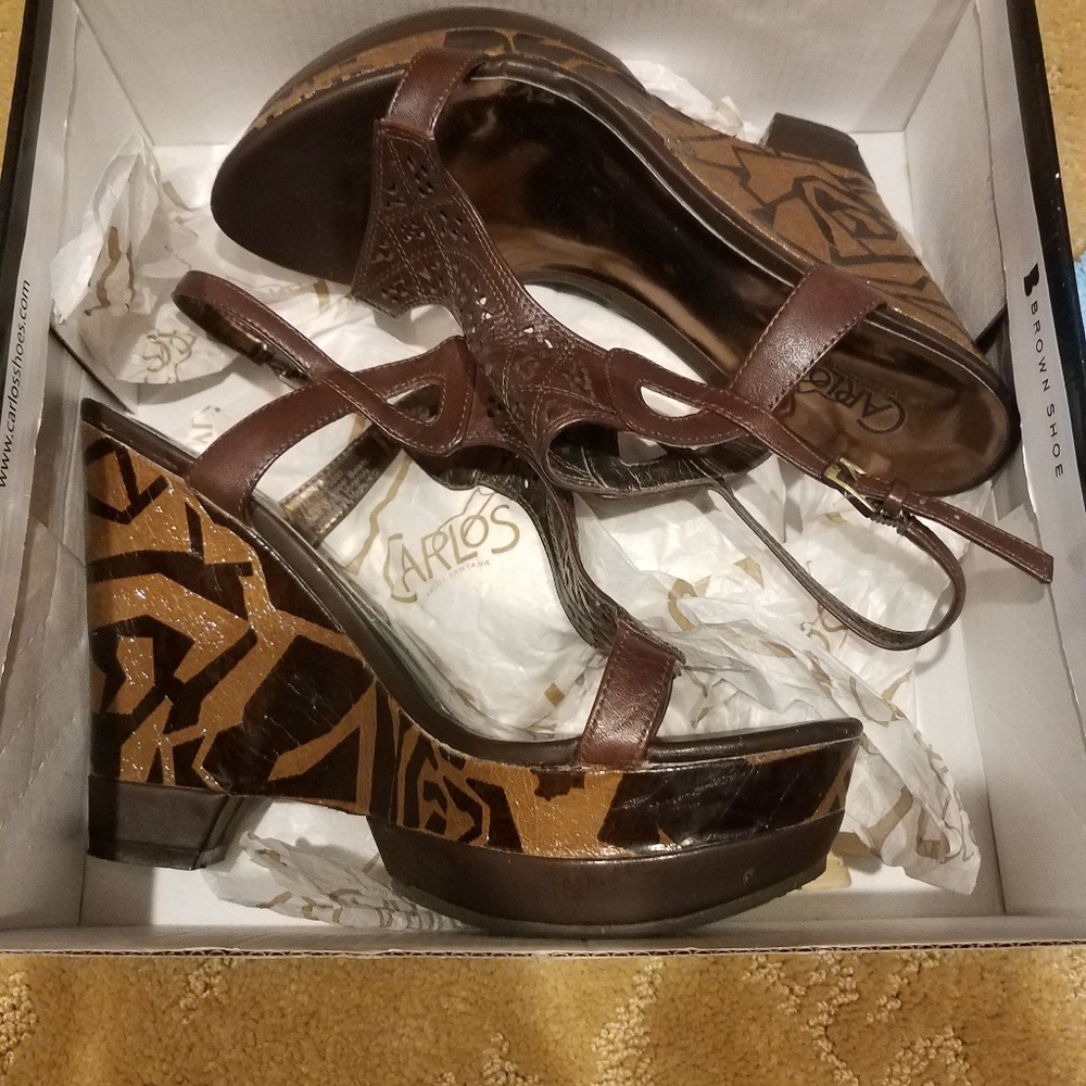 Carlos Santana platforms